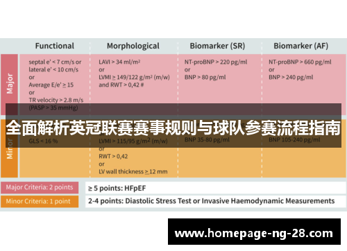 全面解析英冠联赛赛事规则与球队参赛流程指南 全面解析英冠联赛赛事规则与球队参赛流程指南